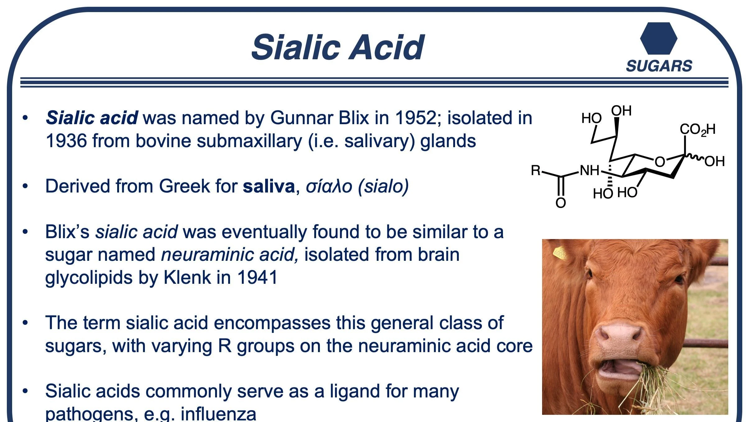 Sialic acid manufacture Sialic acid manufacture