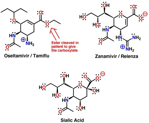 sialic acid powder sialic acid powder