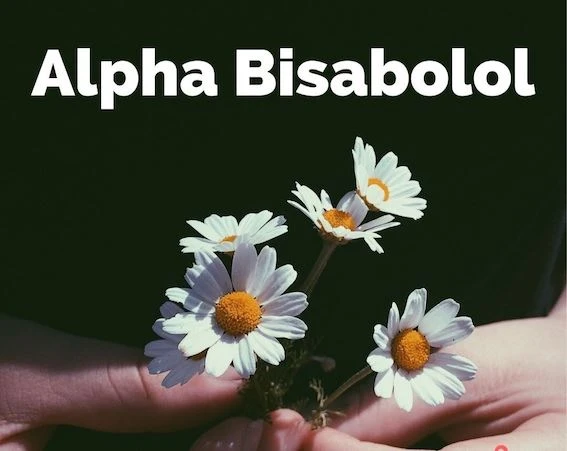 alpha bisabolol manufacture