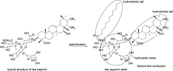 tea saponin has surface activity